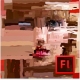Adobe Flash Pro CS6 Box Product Windows Retail 1 User