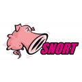 Snort Network intrusion prevention & detection system Snort Network intrusion prevention & detection system